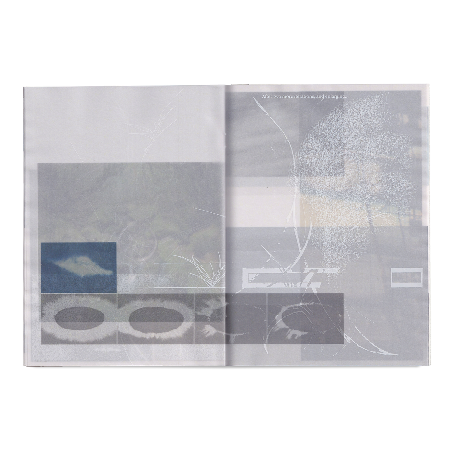 As in Leaves Special Edtion Publication & CD